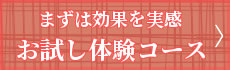 まずはお試しコースで効果を実感