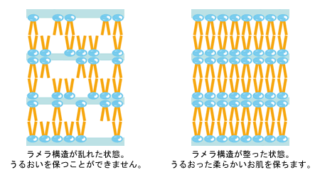 ラメラ構造が乱れた状態、ラメラ構造が整った状態